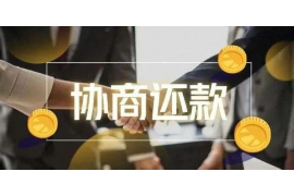 锡林郭勒要账公司更多成功案例详情